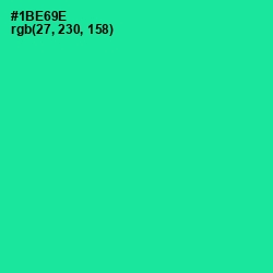 #1BE69E - Shamrock Color Image