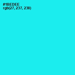 #1BEDEE - Cyan / Aqua Color Image