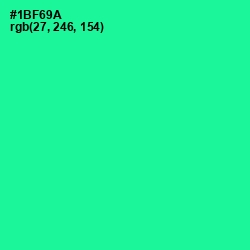 #1BF69A - Shamrock Color Image