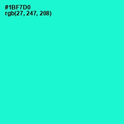 #1BF7D0 - Bright Turquoise Color Image