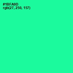 #1BFA9D - Shamrock Color Image