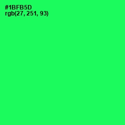 #1BFB5D - Malachite Color Image