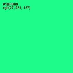 #1BFB89 - Shamrock Color Image