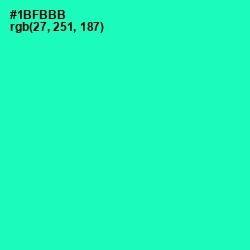 #1BFBBB - Shamrock Color Image