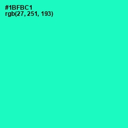 #1BFBC1 - Bright Turquoise Color Image