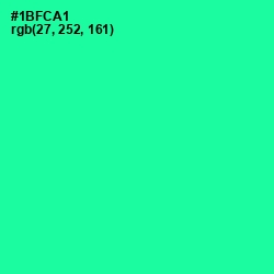 #1BFCA1 - Shamrock Color Image