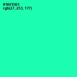 #1BFDB1 - Shamrock Color Image