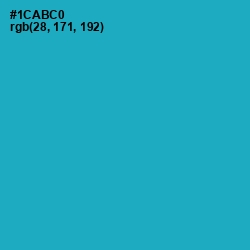 #1CABC0 - Cerulean Color Image