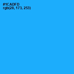 #1CADFD - Dodger Blue Color Image