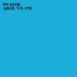 #1CAEDB - Cerulean Color Image