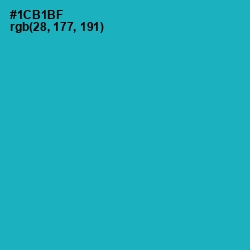 #1CB1BF - Eastern Blue Color Image