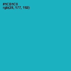 #1CB1C0 - Cerulean Color Image