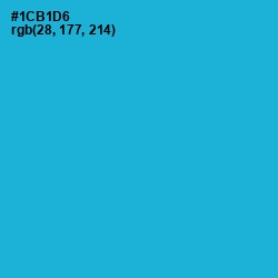 #1CB1D6 - Cerulean Color Image