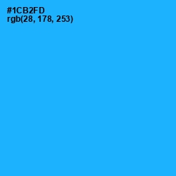 #1CB2FD - Dodger Blue Color Image