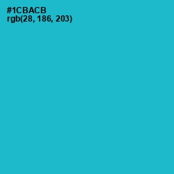 #1CBACB - Cerulean Color Image