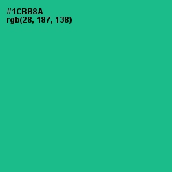 #1CBB8A - Mountain Meadow Color Image