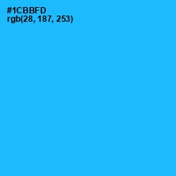 #1CBBFD - Dodger Blue Color Image