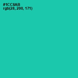 #1CC8AB - Shamrock Color Image