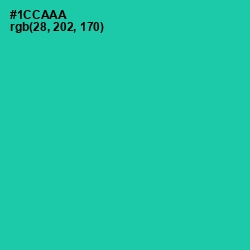 #1CCAAA - Shamrock Color Image