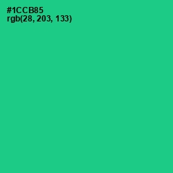 #1CCB85 - Caribbean Green Color Image