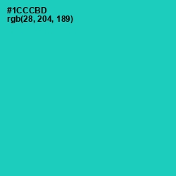 #1CCCBD - Puerto Rico Color Image