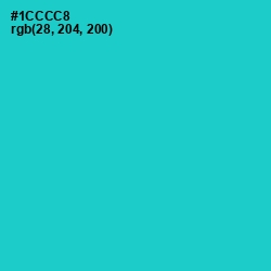 #1CCCC8 - Java Color Image