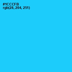 #1CCCFB - Bright Turquoise Color Image