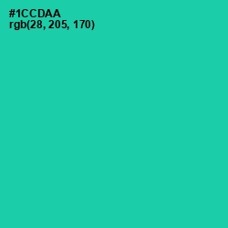 #1CCDAA - Shamrock Color Image