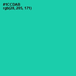 #1CCDAB - Shamrock Color Image