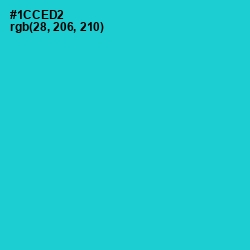 #1CCED2 - Java Color Image