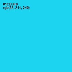 #1CD3F0 - Bright Turquoise Color Image