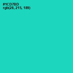 #1CD7BD - Shamrock Color Image