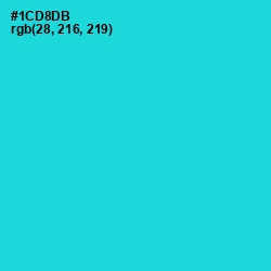 #1CD8DB - Java Color Image