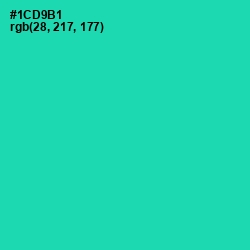 #1CD9B1 - Shamrock Color Image