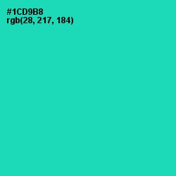 #1CD9B8 - Shamrock Color Image