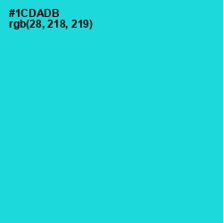 #1CDADB - Robin's Egg Blue Color Image