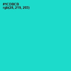 #1CDBCB - Java Color Image