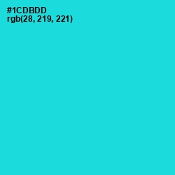 #1CDBDD - Robin's Egg Blue Color Image