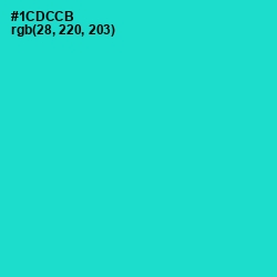 #1CDCCB - Java Color Image