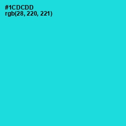 #1CDCDD - Robin's Egg Blue Color Image