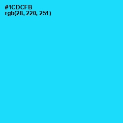 #1CDCFB - Bright Turquoise Color Image