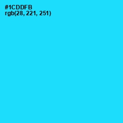 #1CDDFB - Bright Turquoise Color Image