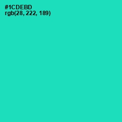 #1CDEBD - Shamrock Color Image