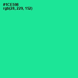 #1CE598 - Shamrock Color Image