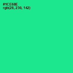 #1CE68E - Shamrock Color Image