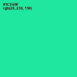 #1CE69F - Shamrock Color Image