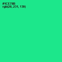 #1CE78B - Shamrock Color Image