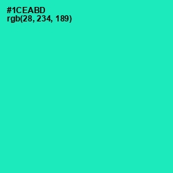 #1CEABD - Shamrock Color Image