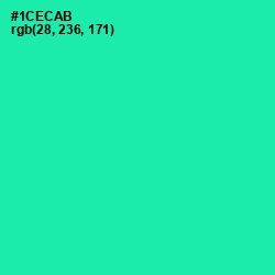 #1CECAB - Shamrock Color Image