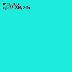 #1CECDB - Bright Turquoise Color Image